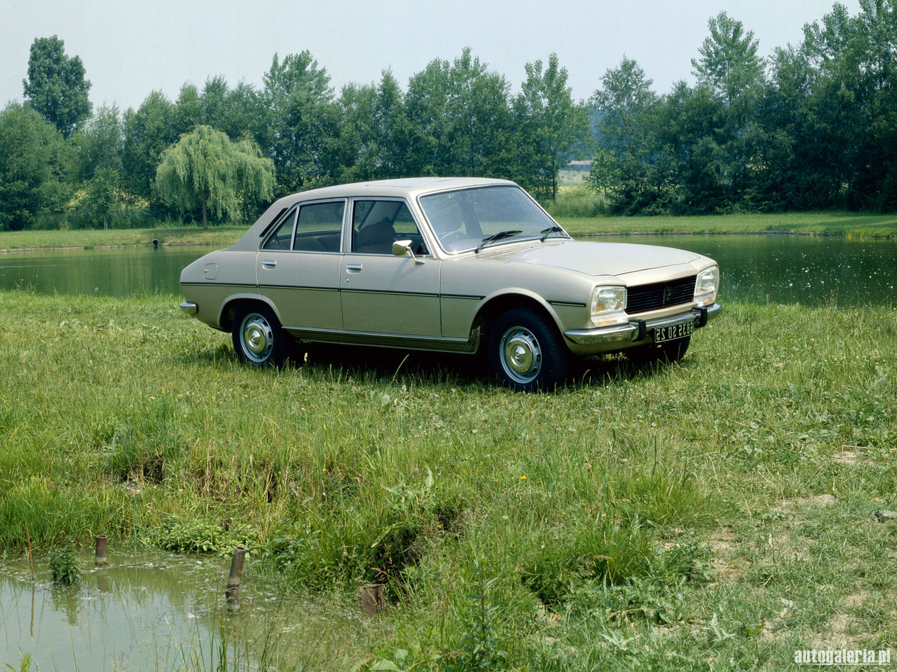 Peugeot 504 1983